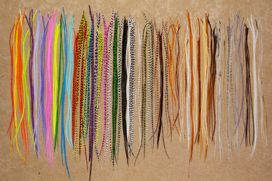 feather hair extensions pictures. feather hair extensions san